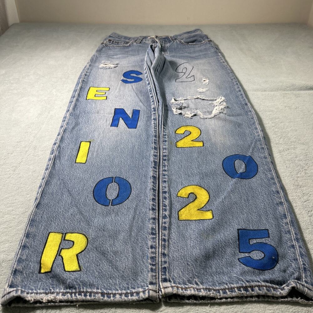 Levis Premium Loose Straight Jeans Womens 27x29 Hamilton Baggy Relaxed Wide